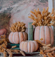 Cinderella Pumpkin Pot - 3 sizes